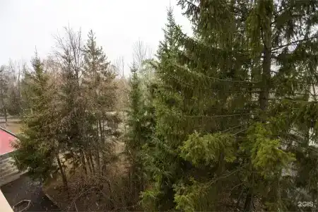 Ливадия-Татарстан - 261