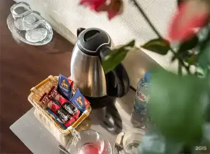 Спутник - 110