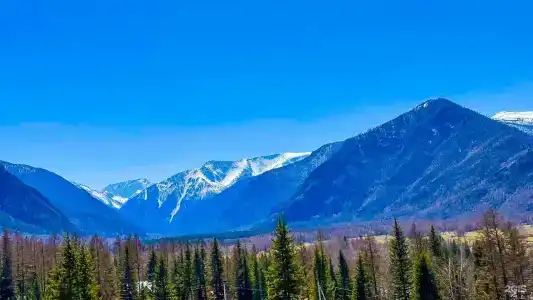 Belukha Village Корпус 2 - 18