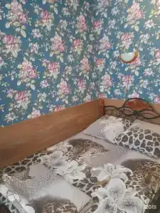 Созвездие+ - 46