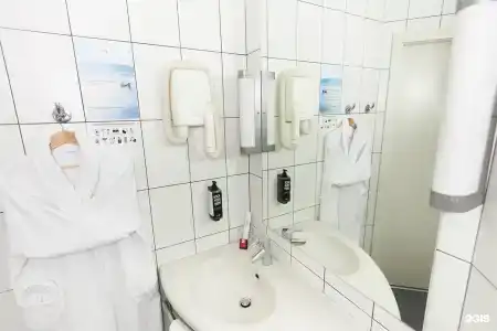 Ibis Сибирь - 101