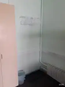 Фикус - 10