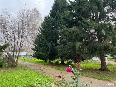 Солнечный - 25