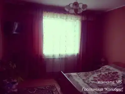 Колибри - 24