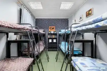 Тепло Северной Столицы - 27