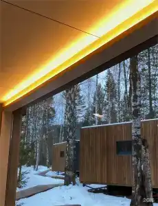 Снежные гуси - 50