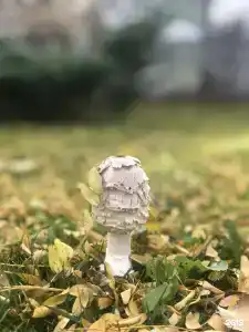 Южный Причал - 1