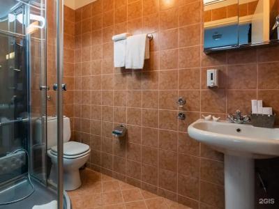 Cosmos Karelia - 104