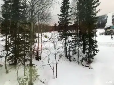Шория Порт - 35