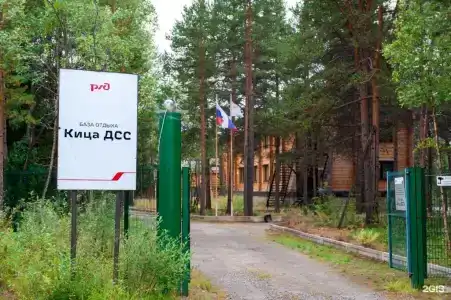 Кица ДСС - 22