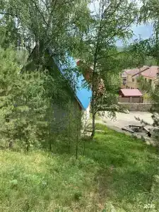 Эдельвейс - 244