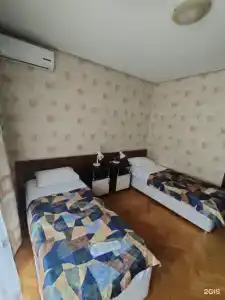 Дружба - 20