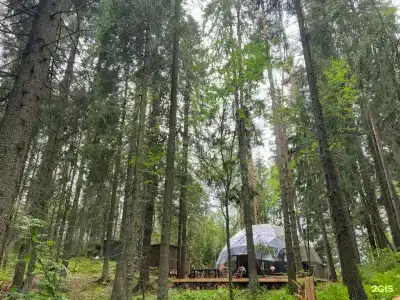 Villy Uley Karelia (Вили Улей Карелия) - 25