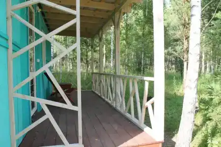 Лесной сон - 15