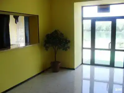 Парамон - 5