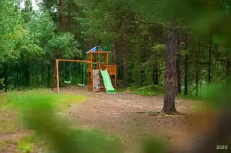 Кица ДСС - 23