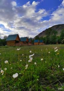 Софийская поляна - 65