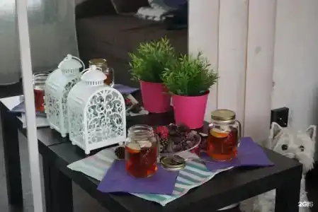 SMART на Горе - 59