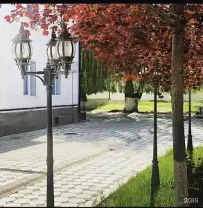Зама - 8