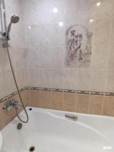 Zns Apart На Луначарского 63 - 8