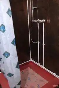 Роуз - 19