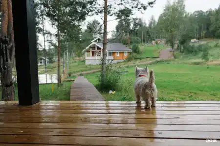 Forrest Lodge Karelia - 18