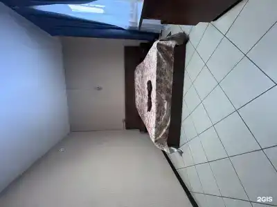 Лотос - 19
