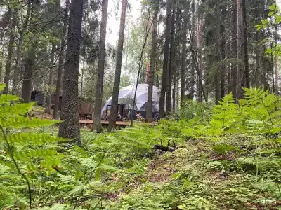 Villy Uley Karelia (Вили Улей Карелия) - 1