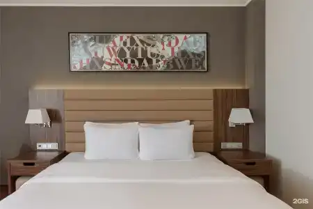 Radisson & Congress Center Saransk - 91