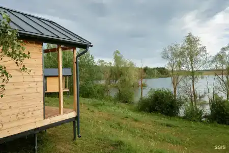 Бобры и утки - 6