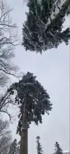 Вайб - 68