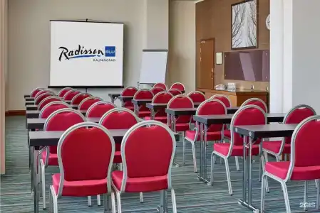 Radisson Blu Hotel - 51