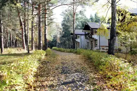 Большая медведица - 0