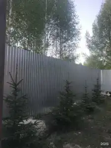 Мята - 16