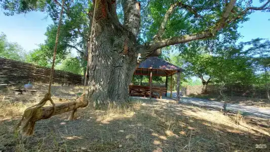 Беной Тревел Озеро - 51