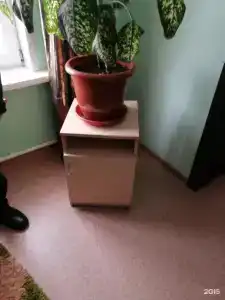 Легенда - 8