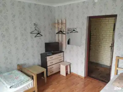 Панда - 31