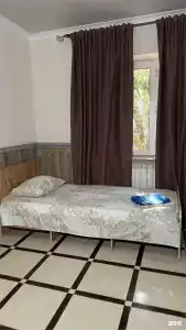 Дельфин2 - 34
