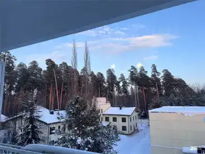 Дельфин - 82