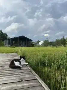 Джао да!ча - 9