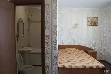 Спутник - 29