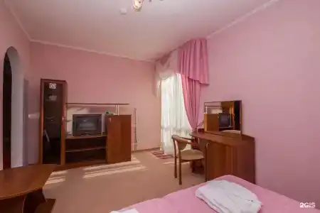 Аист - 99