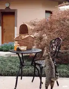 Одиссея Wellness Resort - 211