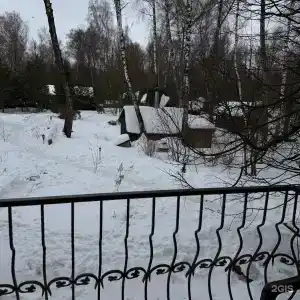 Русский Лес - 48