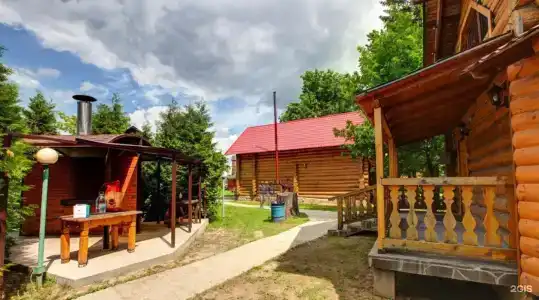 Чайка - 43