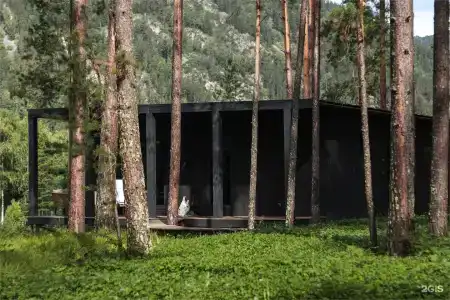 Pinewood resort & SPA - 60