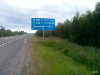 Кица ДСС - 2