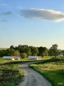 Соты & Варенье - 21