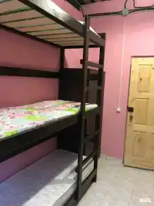Вежливый Лось на Ботаническом саду - 3