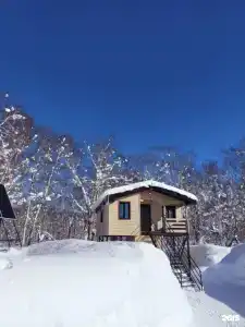 Камчатка Мэджик Вуд - 38
